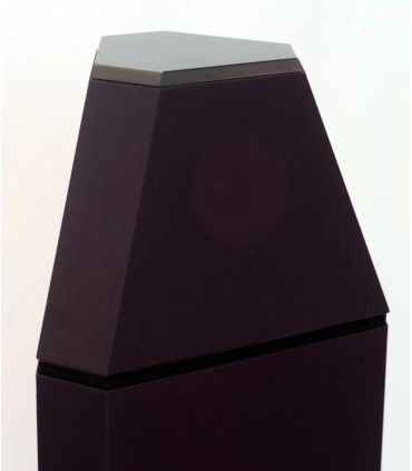 Golden Ear winner Gradient Revolution