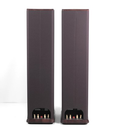 GRADIENT EVIDENCE - SPEAKER PAIR