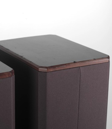 GRADIENT EVIDENCE - SPEAKER PAIR