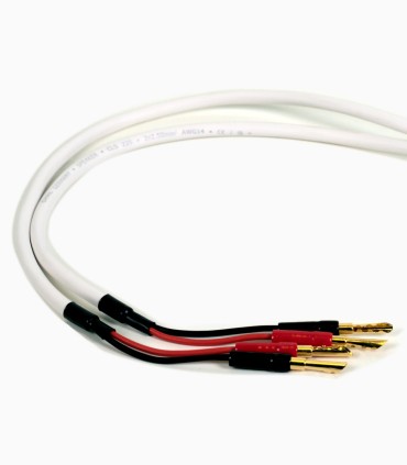 SPEAKER CABLE-BANANA PLUGS