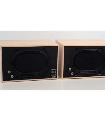 Gradient Five jalustakaiutin